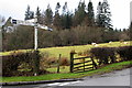 Sheep grazing by the Kirkmichael Road