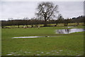 Sheep on waterlogged fields