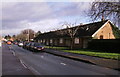 Terraced bungalows