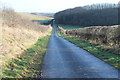 TF1596 : Road downhill towards Thoresway by J.Hannan-Briggs
