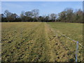 Bridleway heading to Blackgrove Road