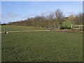 Footpath heading to Quainton