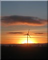 Sunset and wind turbine from Markham Road