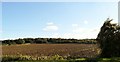 Ploughed field near Moorend, Gloucestershire