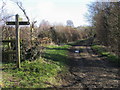 Path heading to Stanton Fitzwarren