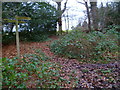 Bridleway and footpath junction south east of Park Farm