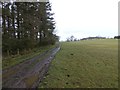 Bridleway from Eglinghammoor 