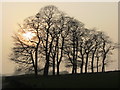 SE0236 : Misty sunlight behind trees, Upper Marsh near Oxenhope by Colin Park