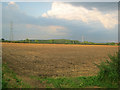 Arable land at Muskham Woodhouse Farm