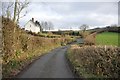 Mid Devon : Country Lane