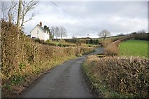 SS9823 : Mid Devon : Country Lane by Lewis Clarke
