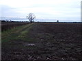 Farmland off Allerton Balk