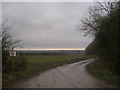 Footpath junction at Braham Wood