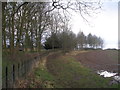 Footpath to Knaresborough at Ribston Park