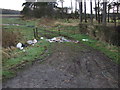 Field entrance off the A66