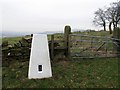 Fernhurst Hill Trig