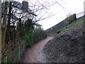 Footpath at Allan Water