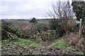 Mid Devon : Hedgerow & Footpath