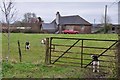 Mid Devon : Zeal Farm Field