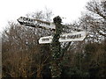 TQ7751 : Direction Sign, Boughton Monchelsea by Danny P Robinson