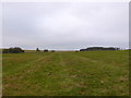 SU1142 : Pasture fields near Stonehenge by Nigel Mykura