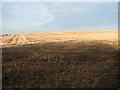 Stubble field by Whitehouse Farm, Hopton