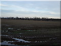 Farmland off Durham Lane