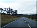 A470 near Rhydwernen Cottage