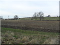 Farmland near Little Brington