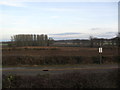 Farmland near Little Brington