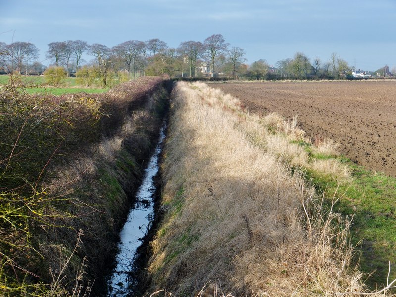 New Cut Drain, Swine, Yorkshire © Bernard Sharp :: Geograph Britain and ...