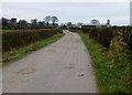 The View Approaching Ribchester