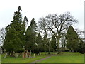 Within Alton Cemetery (6)