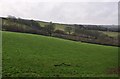 Mid Devon : Grassy Field