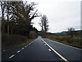 A470 near The Shrubbery