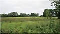 N2061 : A wet field, Colehill by Richard Webb