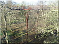 TQ1876 : Treetop Walkway at Kew Gardens by Marathon