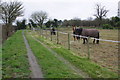 Track at Lane End Farm