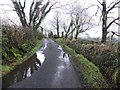 Puddles along Rodgers Road