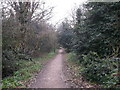 Footpath on Barnes Common