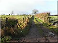 Lane, Clanabogan Upper