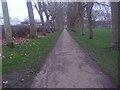 Path through Gladstone Park, Dollis Hill