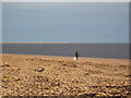 Beach at Broughty Ferry and the Tay Estuary