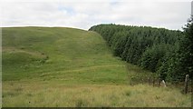 NO0407 : Coalcraigy Hill by Richard Webb