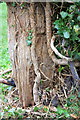 Old wooden gatepost with benchmark in Sunnymead Rec