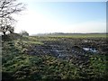 Muddy field entrance, east of Moss Carr