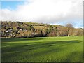 View across Dolerw Park