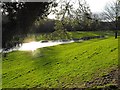 Standing water in Dolerw Park