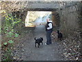 Heather with dogs on Greenway