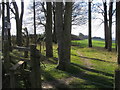 Path to White Pond Buildings